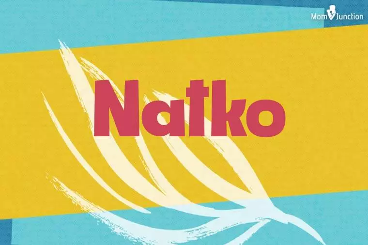 Natko Stylish Wallpaper