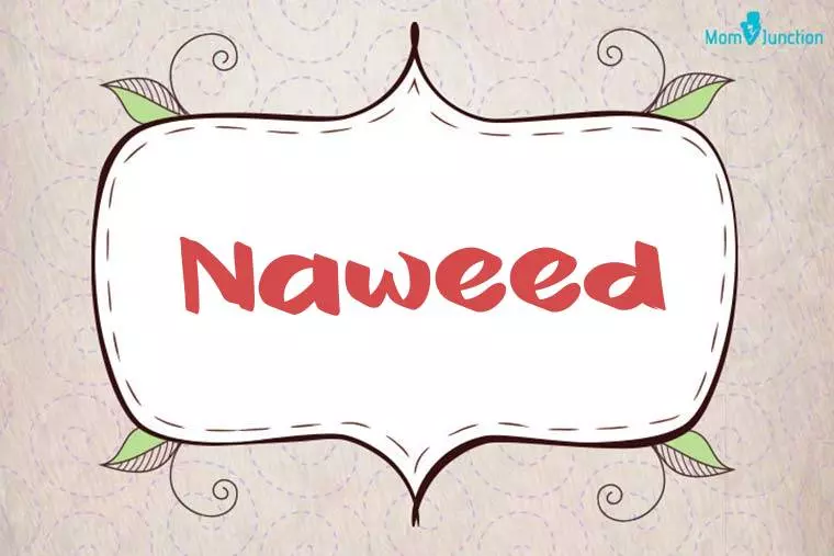 Naweed Stylish Wallpaper