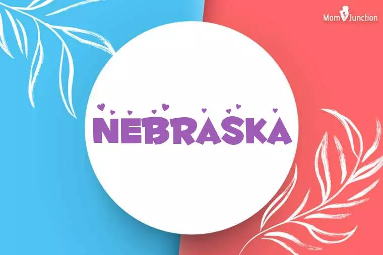 Nebraska Stylish Wallpaper