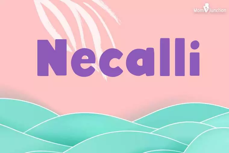 Necalli Stylish Wallpaper