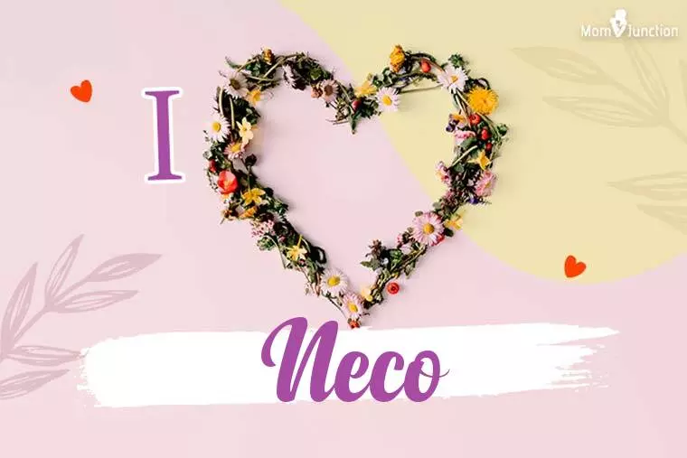 I Love Neco Wallpaper