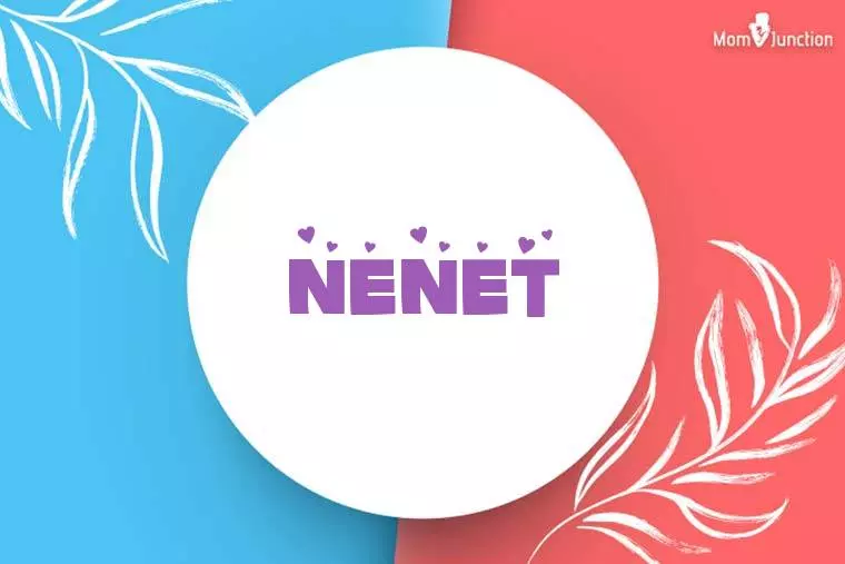 Nenet Stylish Wallpaper