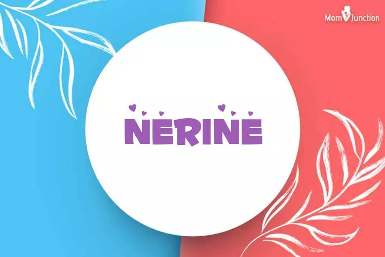 Nerine Stylish Wallpaper