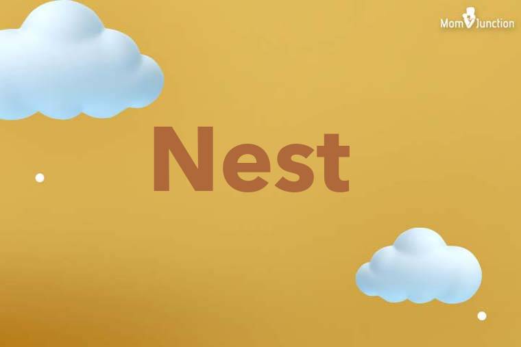 Nest 3D Wallpaper