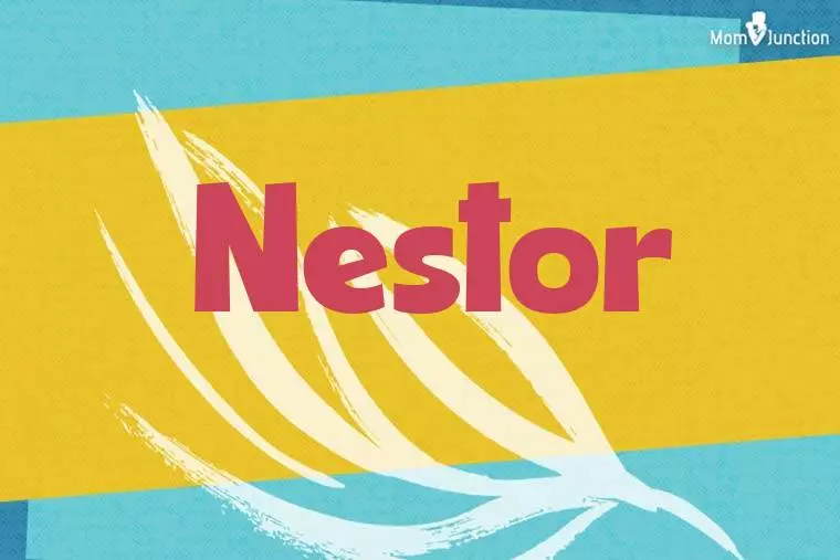 Nestor Stylish Wallpaper