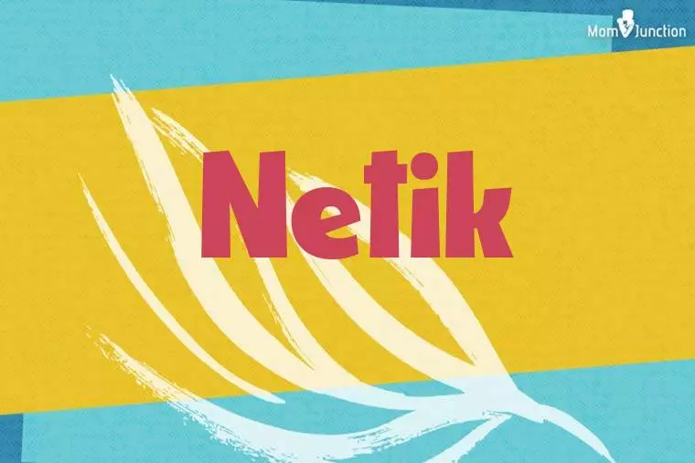 Netik Stylish Wallpaper