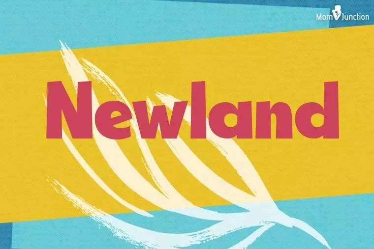 Newland Stylish Wallpaper