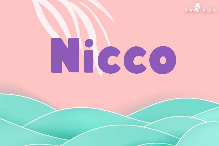 Nicco Stylish Wallpaper