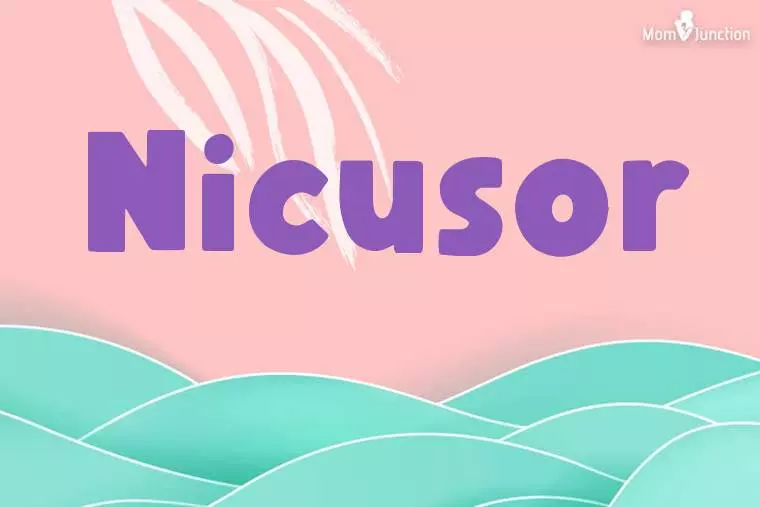 Nicusor Stylish Wallpaper