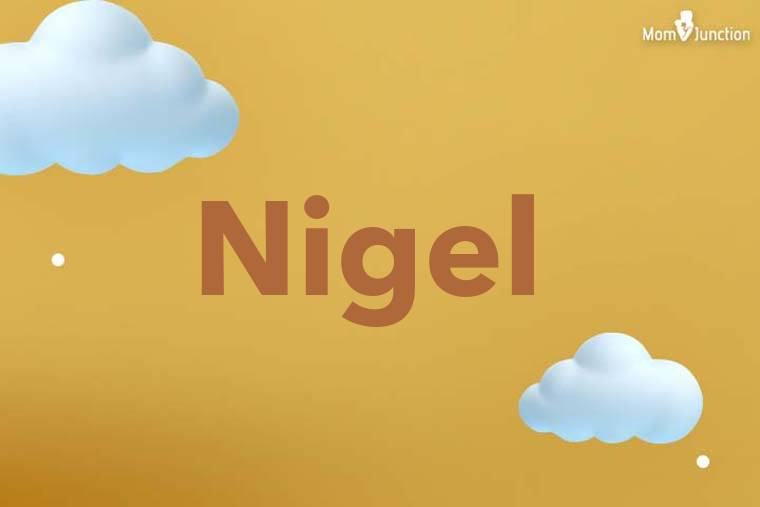 Nigel 3D Wallpaper