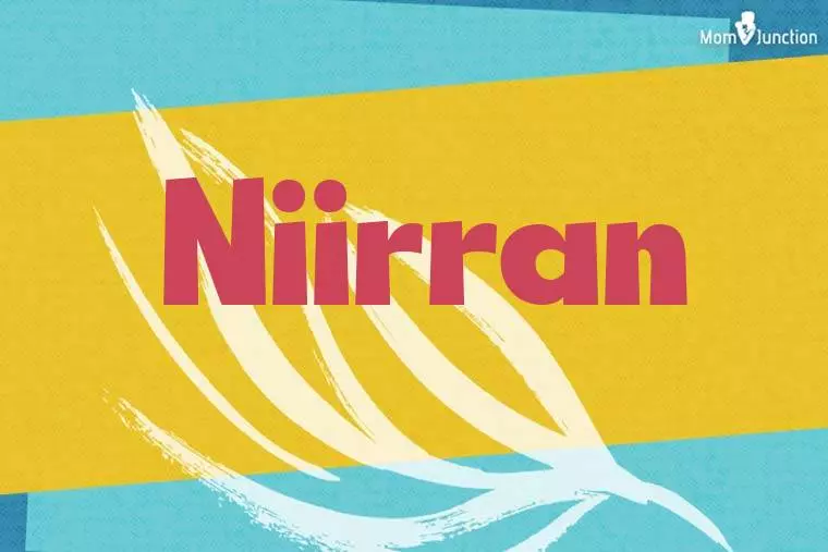 Niirran Stylish Wallpaper