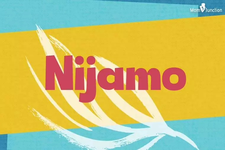 Nijamo Stylish Wallpaper