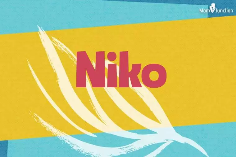 Niko Stylish Wallpaper