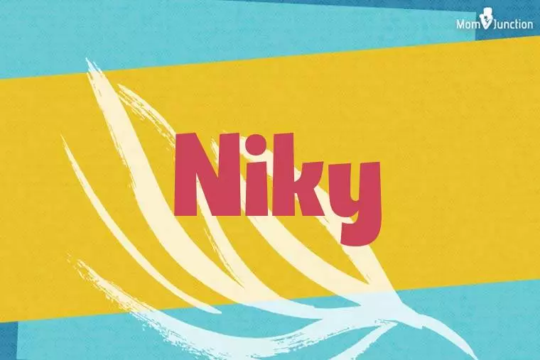 Niky Stylish Wallpaper