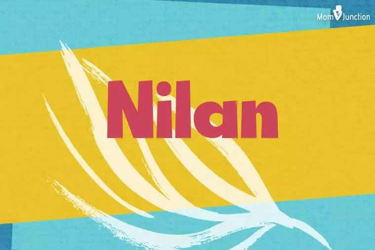 Nilan Stylish Wallpaper