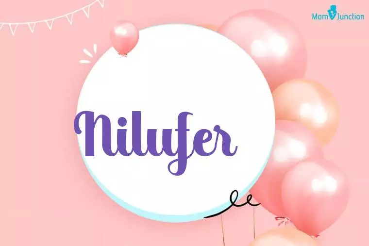 Nilufer Birthday Wallpaper