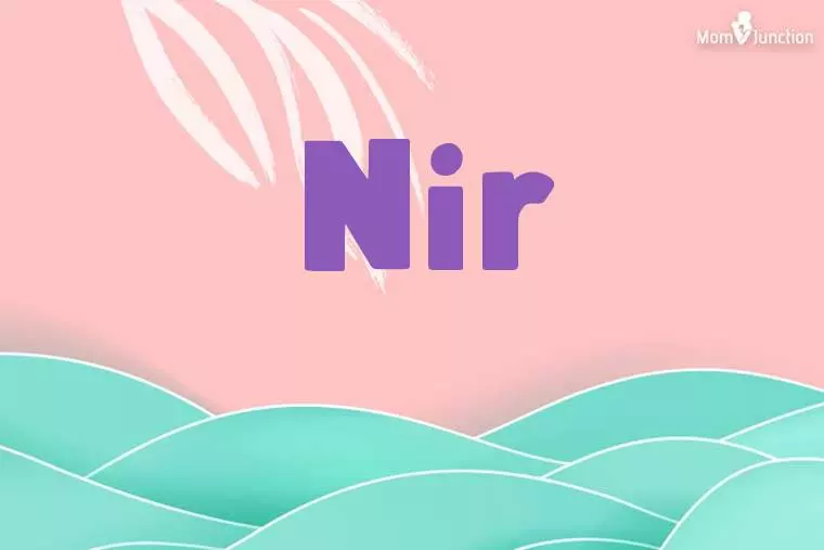 Nir Stylish Wallpaper