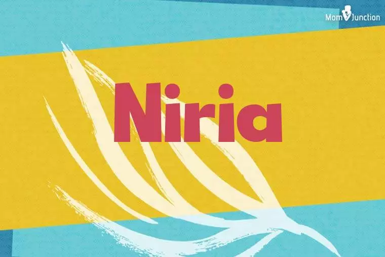 Niria Stylish Wallpaper