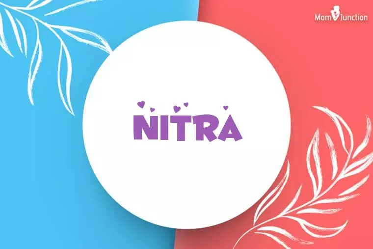 Nitra Stylish Wallpaper