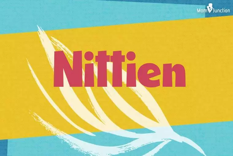 Nittien Stylish Wallpaper