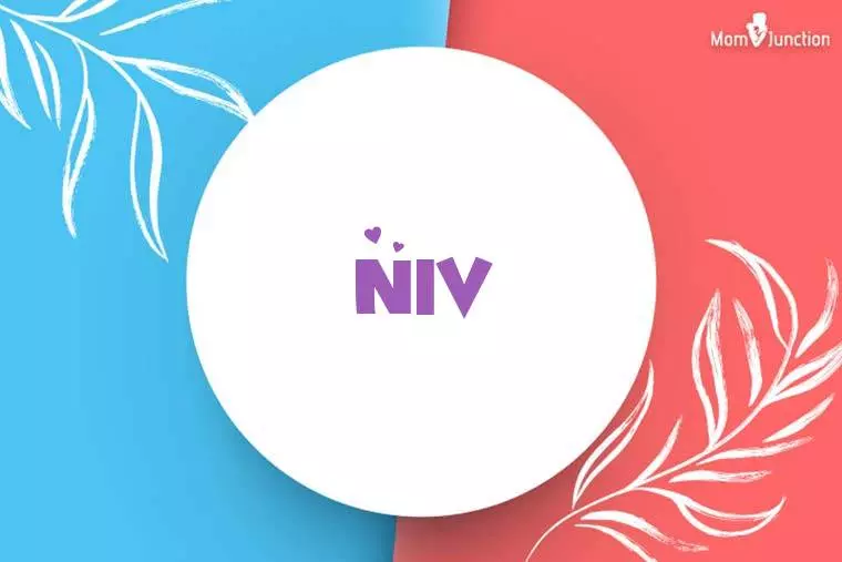 Niv Stylish Wallpaper