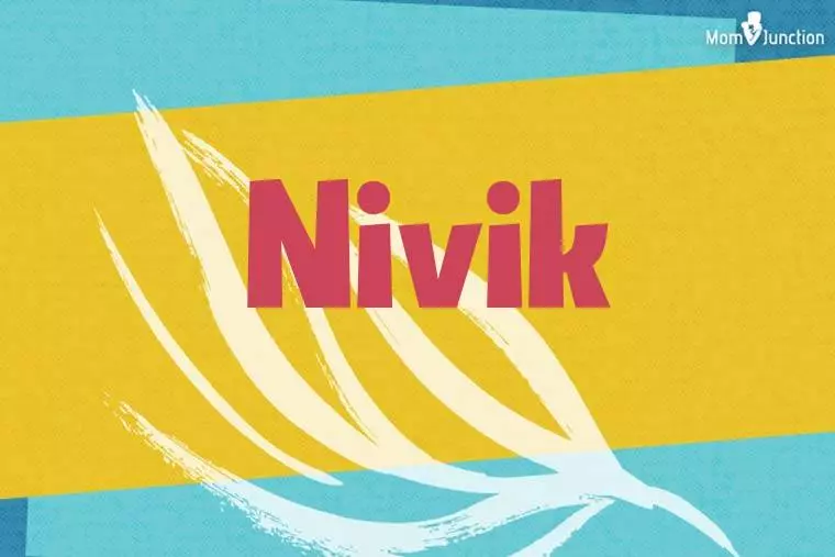 Nivik Stylish Wallpaper