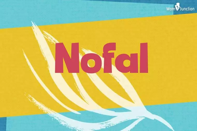 Nofal Stylish Wallpaper