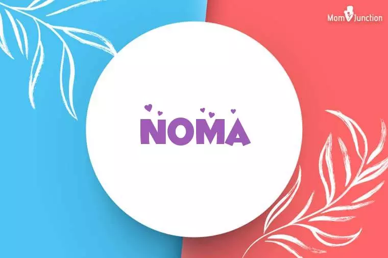 Noma Stylish Wallpaper