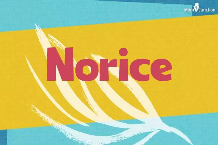 Norice Stylish Wallpaper