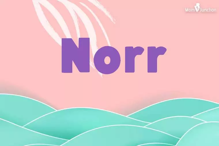 Norr Stylish Wallpaper
