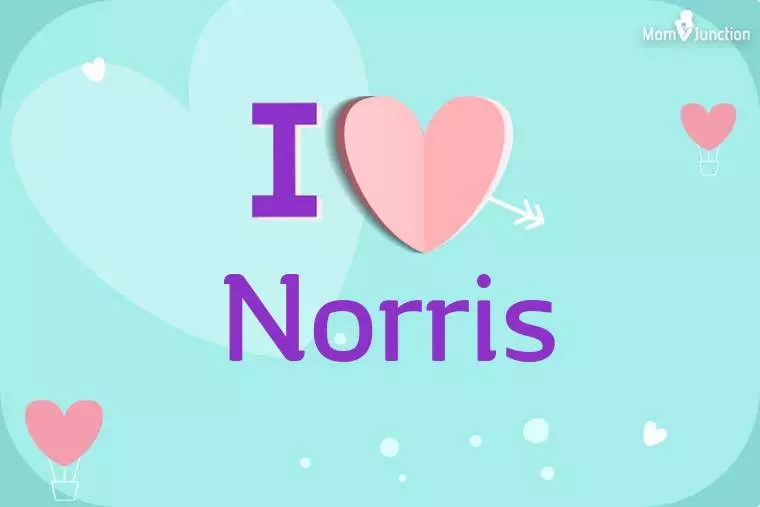 I Love Norris Wallpaper