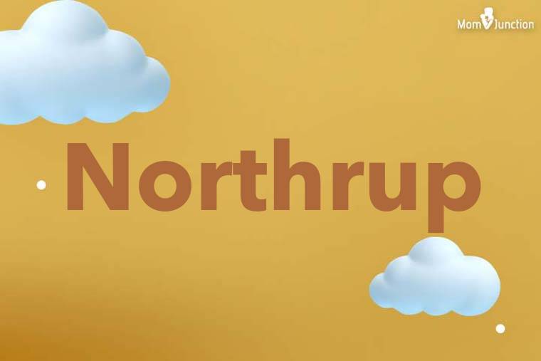 Northrup 3D Wallpaper