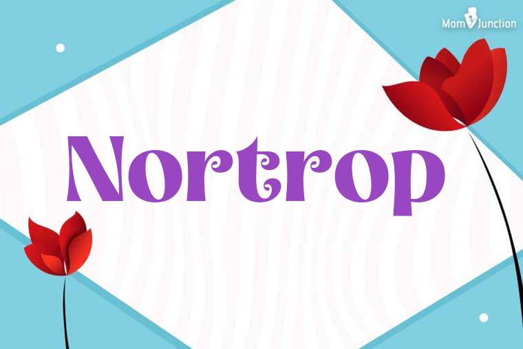 Nortrop 3D Wallpaper