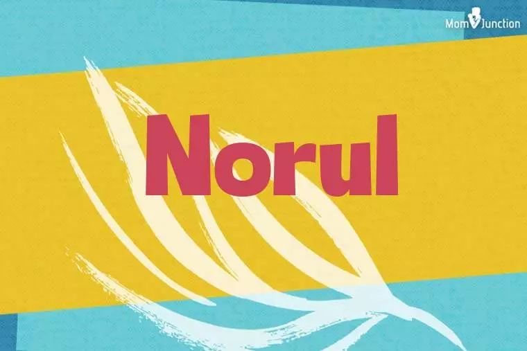 Norul Stylish Wallpaper