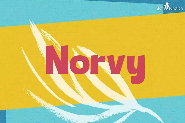 Norvy Stylish Wallpaper