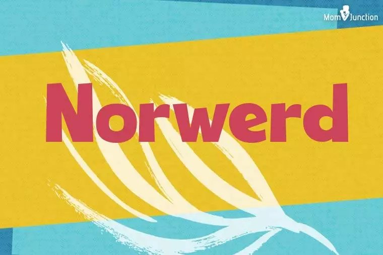 Norwerd Stylish Wallpaper