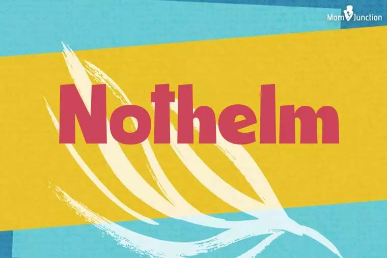 Nothelm Stylish Wallpaper