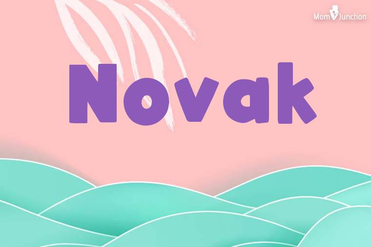 Novak Stylish Wallpaper