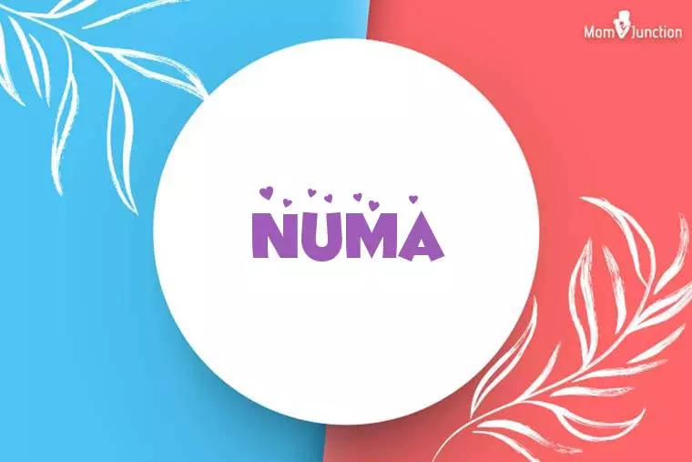 Numa Stylish Wallpaper