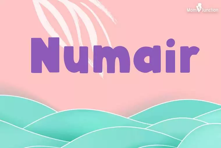 Numair Stylish Wallpaper