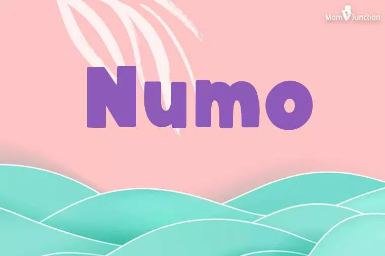 Numo Stylish Wallpaper