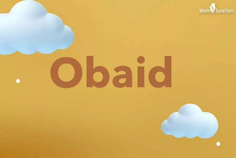 Obaid 3D Wallpaper