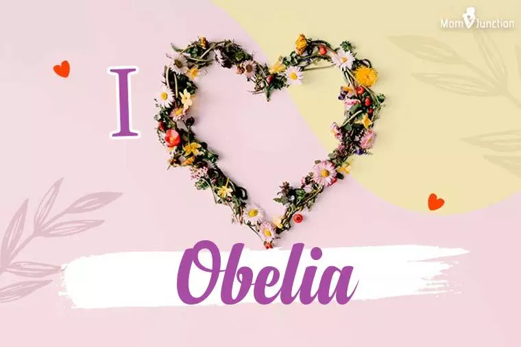 I Love Obelia Wallpaper