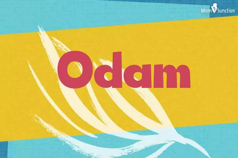 Odam Stylish Wallpaper