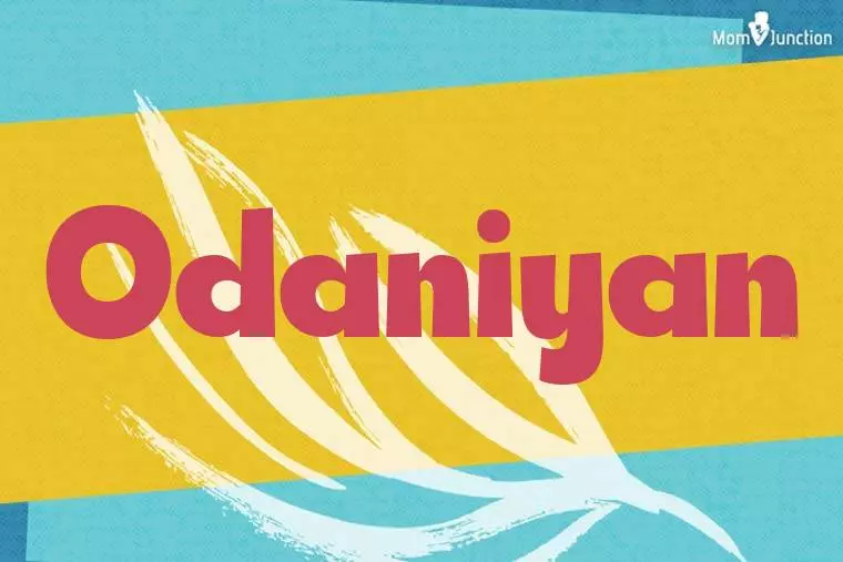 Odaniyan Stylish Wallpaper