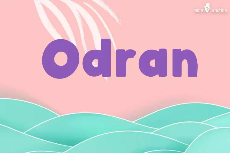 Odran Stylish Wallpaper