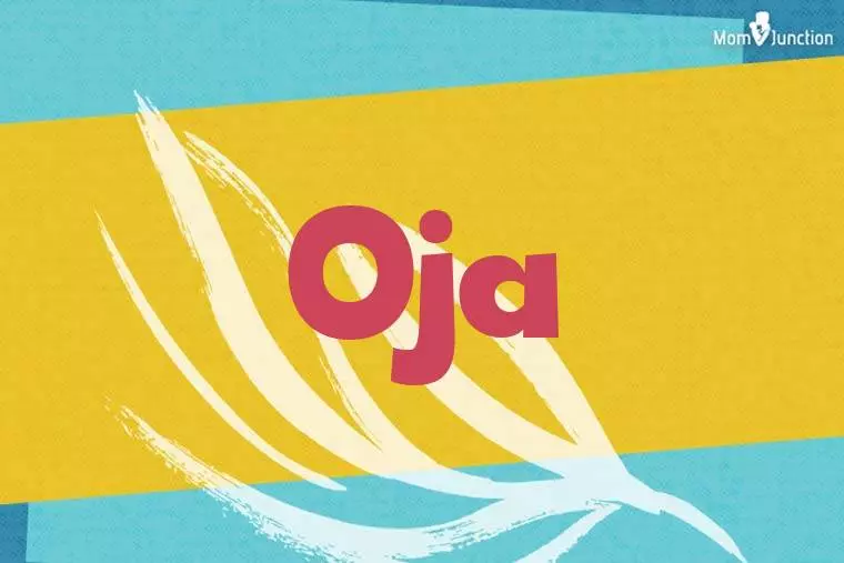 Oja Stylish Wallpaper