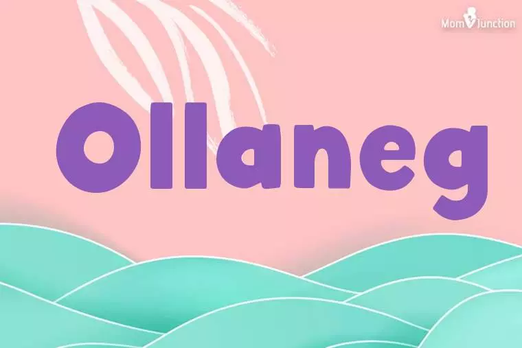 Ollaneg Stylish Wallpaper