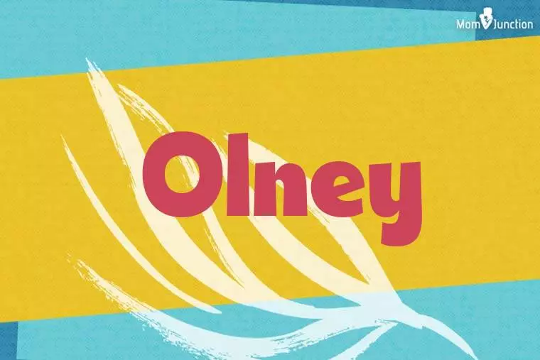 Olney Stylish Wallpaper