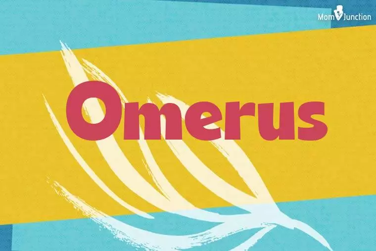 Omerus Stylish Wallpaper